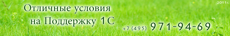 Поддержка 1С в Москве